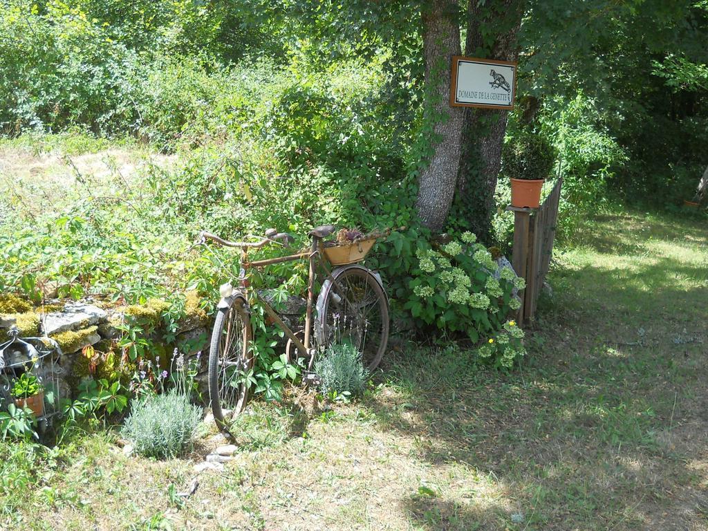 Le Domaine De La Genette Villa Paussac-et-Saint-Vivien ภายนอก รูปภาพ